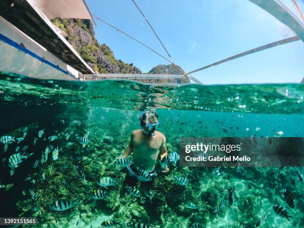 underwater shot of man snorkeling surrounded by fishes - el nido stock pictures, royalty-free photos & images