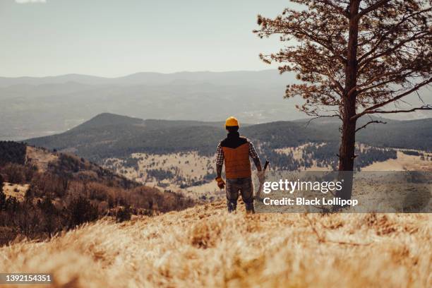 vista trasera de un hombre del bosque en la cima de la colina, disfrutando de la vista, sosteniendo un hacha. - hacha pequeña fotografías e imágenes de stock