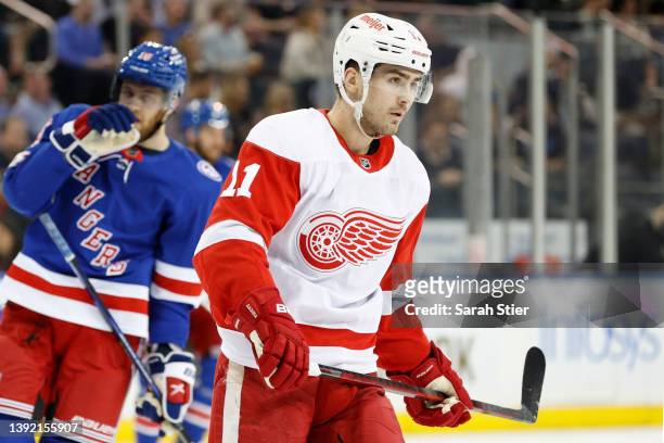 Filip Zadina of the Detroit Red Wings looks on during the first period against the New York Rangers at Madison Square Garden on April 16, 2022 in New...