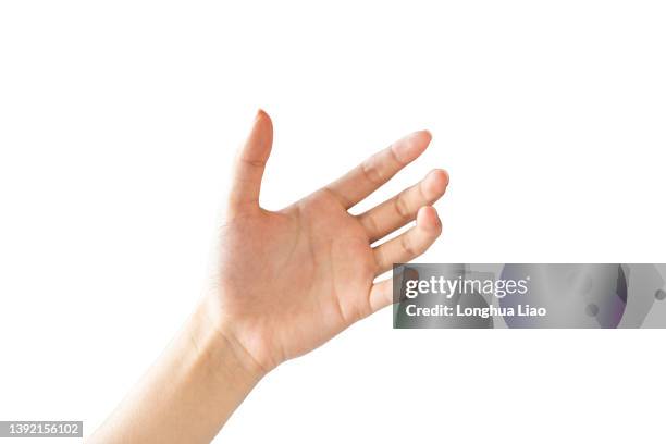 a female hand on a white background - palms foto e immagini stock