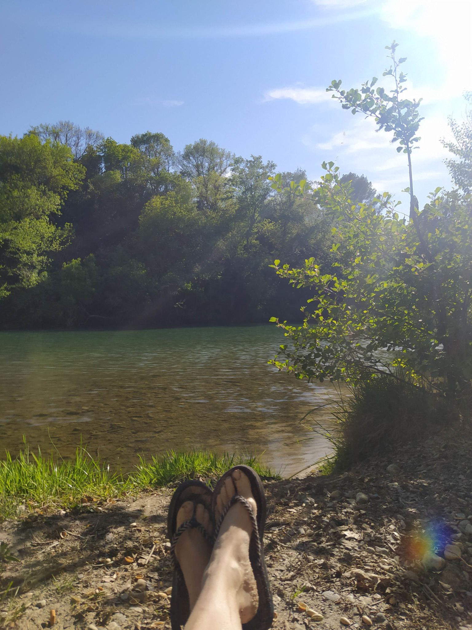 detente nature