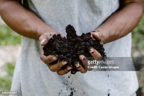 close up of two hands holding fresh soil - sifting stockfoto's en -beelden