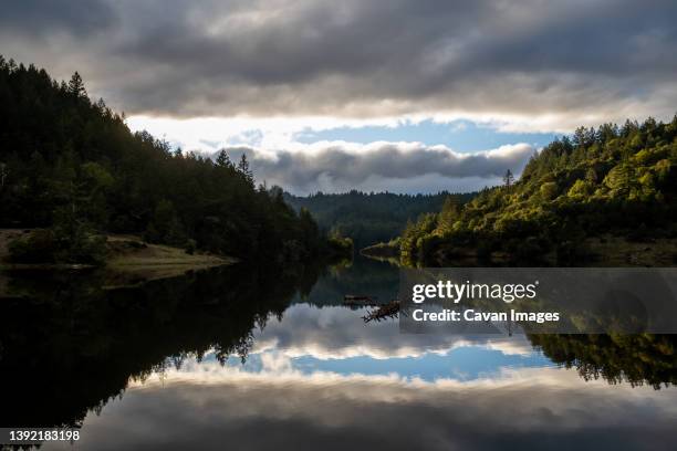 green landscape and cloudy sky reflected in still waters of lake - fairfax california stockfoto's en -beelden