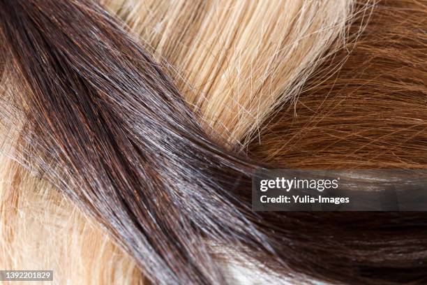 criss cross of hair colors - blonde hair dye stock pictures, royalty-free photos & images