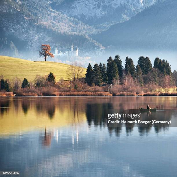landscape with neuschwanstein castle - neuschwanstein stock pictures, royalty-free photos & images