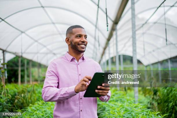 brazilian man working and using technology in the field - african american farmer stock pictures, royalty-free photos & images