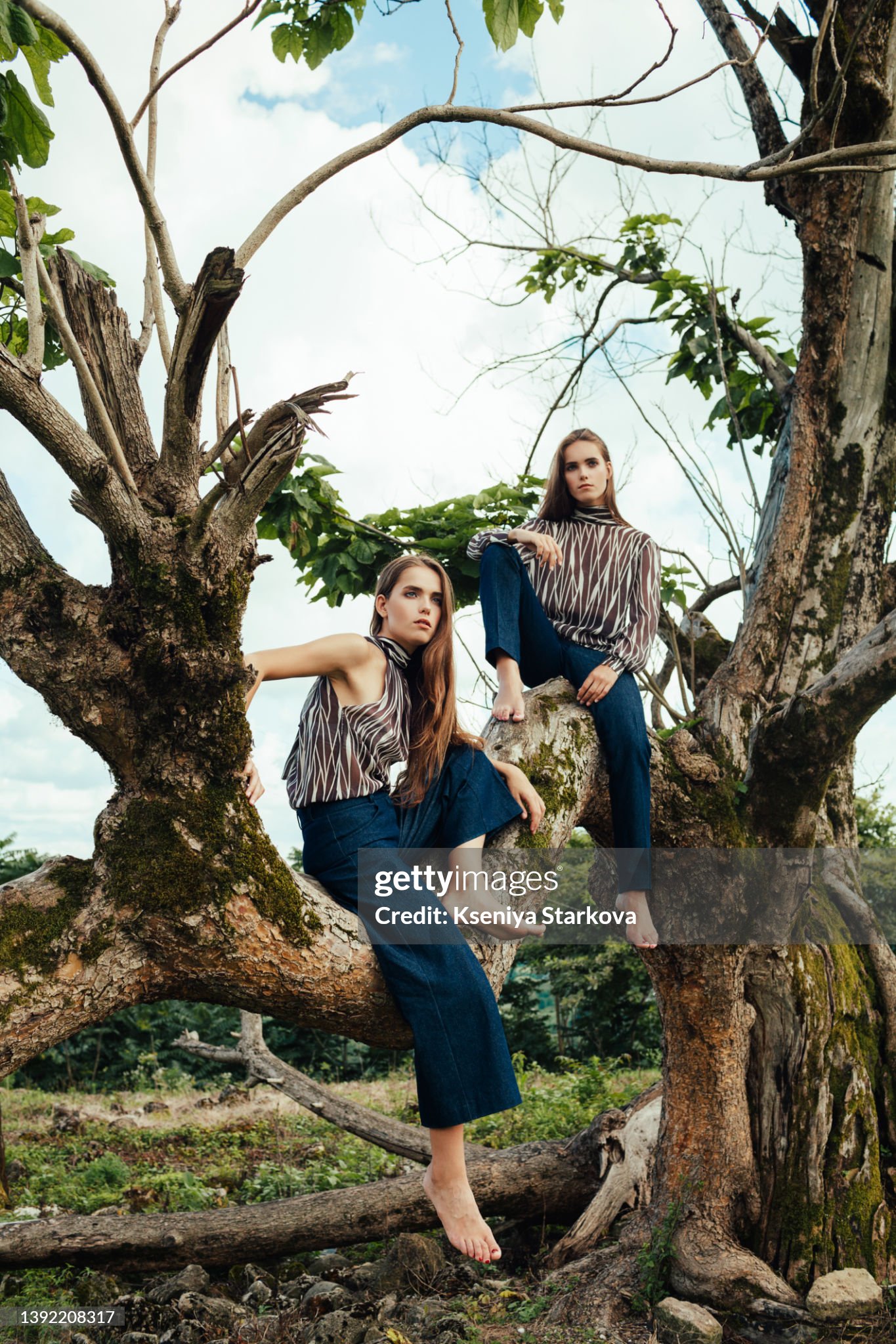 https://media.gettyimages.com/id/1392208317/photo/two-european-young-female-twins-stand-on-a-branchy-tree-in-a-green-meadow.jpg?s=2048x2048&w=gi&k=20&c=uUpndx-_pnL6rIdMd7ku-zhUeJr08CF4KQc7OeQQudI=