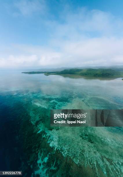 tropical island and reef, iriomote island, okinawa, japan - insel iriomote stock-fotos und bilder