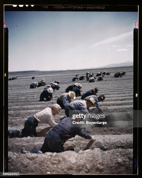 Japanese-American camp, war emergency evacuation, Tule Lake Relocation Center, Newell, California, 1942.