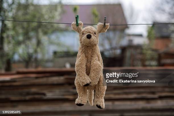 a soft plush toy is drying outside. - stuffed toy stock-fotos und bilder