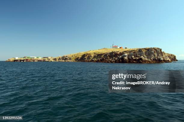 view from seaside on snake island (zmiinyi island), black sea, odessa, ukraine, eastern europe - snake island (black sea) stock pictures, royalty-free photos & images