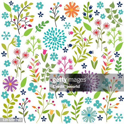 Floral elements . Floral elements .