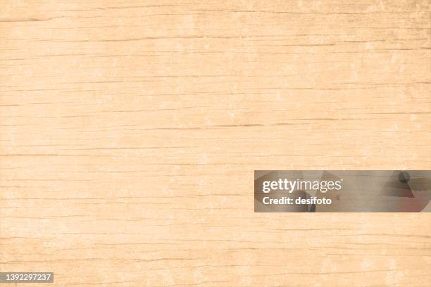 empty blank bright light brown or beige coloured grunge hard wooden laminate textured effect vector backgrounds with subtle wood grain pattern all over - wood grain stock illustrations