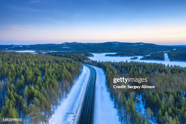 winter landscape with highway among evergreen forest at dawn - evergreen forest stock-fotos und bilder