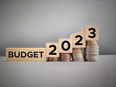 New Year Budget Concept