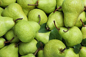 Many fresh ripe pears with water drops as background, closeup