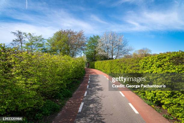 countryside road with bicycle lanes on the side on a sunny day - cykelbana bildbanksfoton och bilder