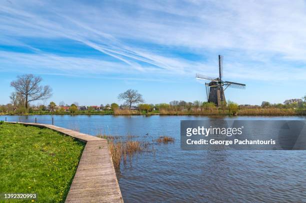 wooden walking path next to the river and windmill in the background - amstel stockfoto's en -beelden