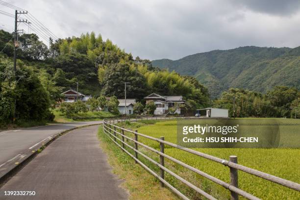 rice field by country road - préfecture de kochi photos et images de collection