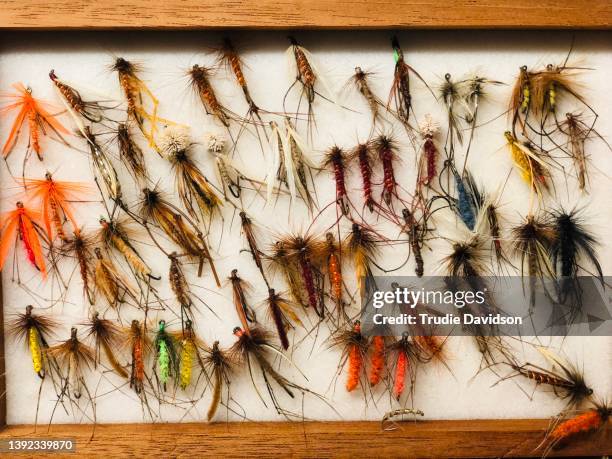 collection of mounted fishing lures - vishaak visgerei stockfoto's en -beelden