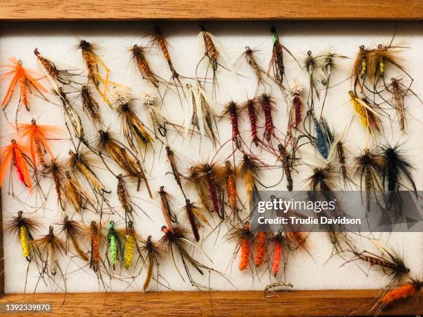 collection of mounted fishing lures - fly casting stock pictures, royalty-free photos & images