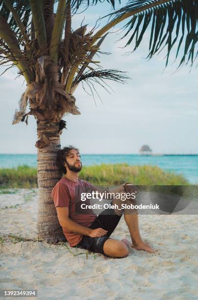 man sitting under the palm tree on  isla mujeres beach - isla mujeres bildbanksfoton och bilder