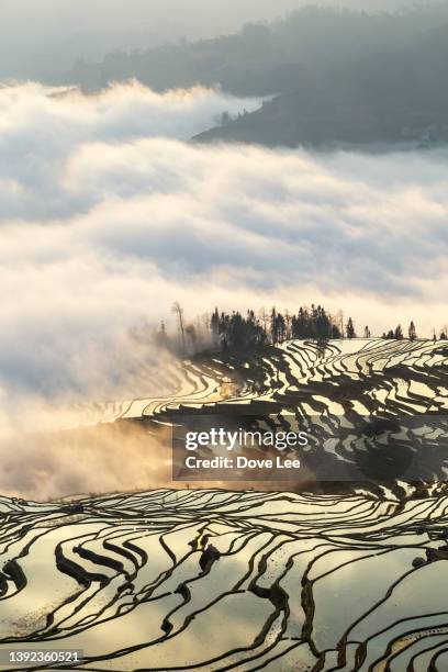 yuanyang hani rice terraces landscape - yuanyang stock pictures, royalty-free photos & images