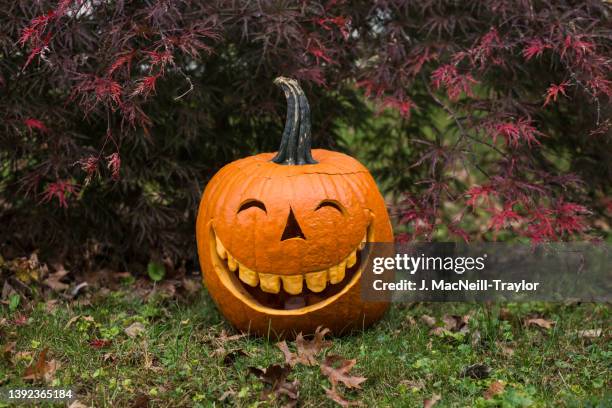 happy jack o'lantern - jack o' lantern fotografías e imágenes de stock