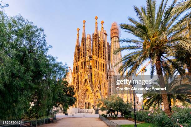 sagrada familia basilica surrounded by palm trees on a sunny morning, barcelona, spain - sagrada familia stock-fotos und bilder