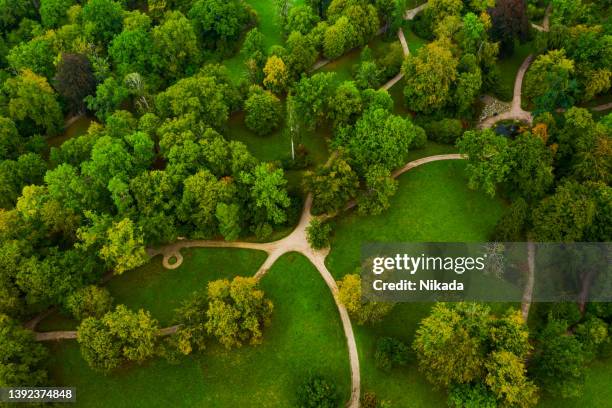 top aerial view of green summer park - natural parkland stock pictures, royalty-free photos & images