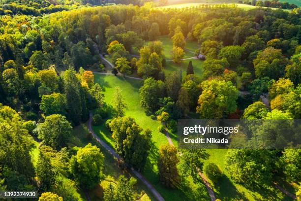 blick über den grünen sommerpark - garden landscape stock-fotos und bilder