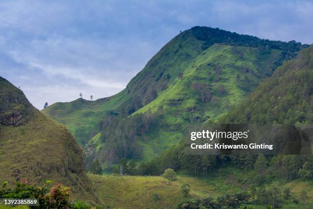 stunning valleys and hills along lake toba, tongging, north sumatra - lake toba sumatra stock pictures, royalty-free photos & images