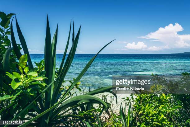 tropical nature, siquijor island philippines - island of siquijor stock pictures, royalty-free photos & images
