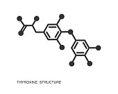 Thyroxine chemical molecular structure. Major endogenous hormone secreted by the thyroid gland isolated on white background. Vector graphic illustration