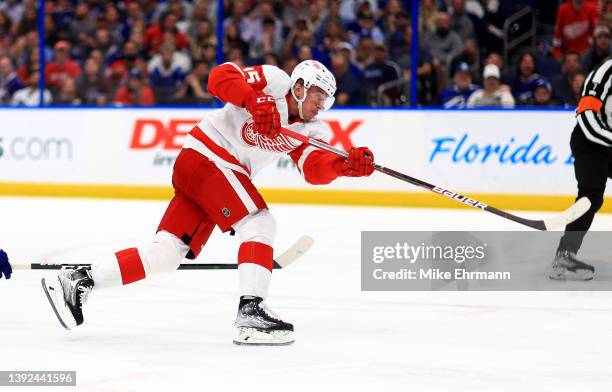 Jakub Vrana of the Detroit Red Wings scores a goal in the third period during a game against the Tampa Bay Lightning at Amalie Arena on April 19,...