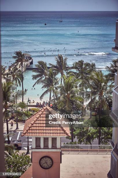 people on waikiki beach - honolulu stock pictures, royalty-free photos & images