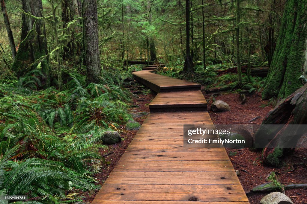 Lynn Canyon Park