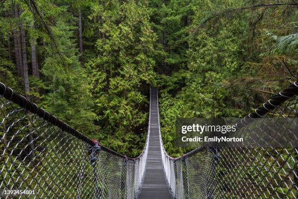 lynn canyon park - trail britisch kolumbien stock-fotos und bilder