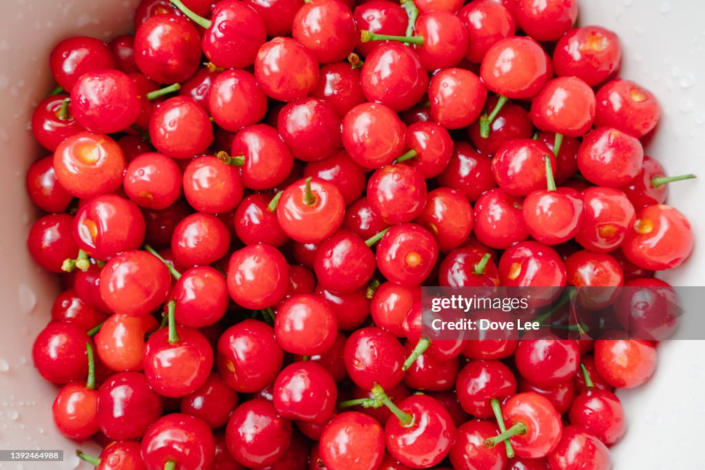 Fresh Chinese Local Cherries