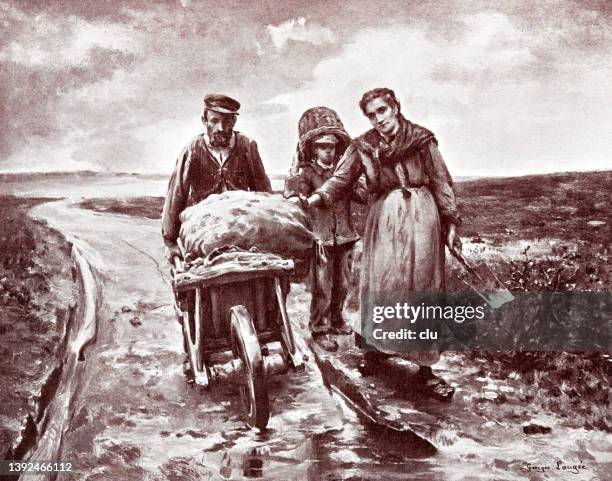 potatoes harvest - old wheel barrow stock illustrations