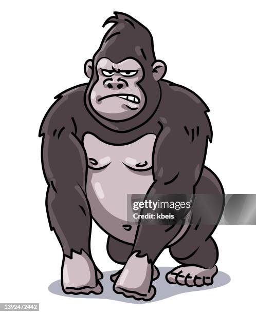 grumpy gorilla - angry monkey stock illustrations