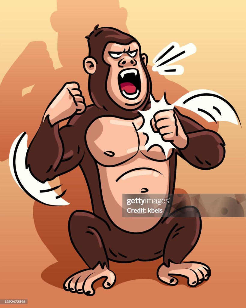 kapillærer Udråbstegn sikkerhed Angry Gorilla Beating His Chest High-Res Vector Graphic - Getty Images