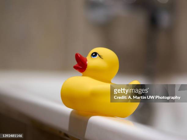 yellow rubber duckling on the edge of a bathtub - duckling stock pictures, royalty-free photos & images
