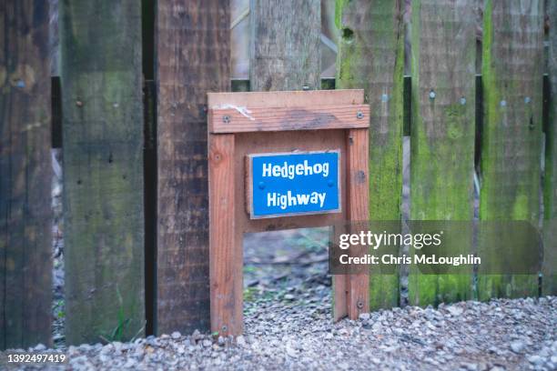 hedgehog gate - main road stock pictures, royalty-free photos & images