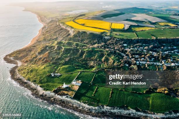 an aerial view of a  rapeseed field at sunset - isle of wight - fotografias e filmes do acervo