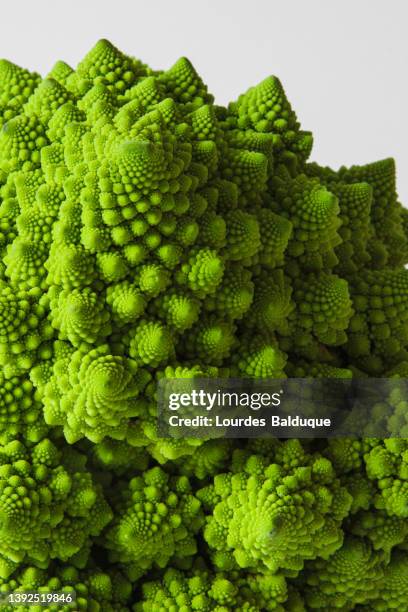 romanesco broccoli closeup - chou romanesco stock pictures, royalty-free photos & images