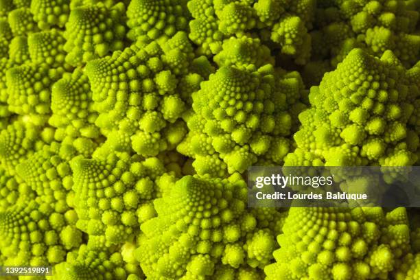 romanesco broccoli closeup - chou romanesco stock pictures, royalty-free photos & images
