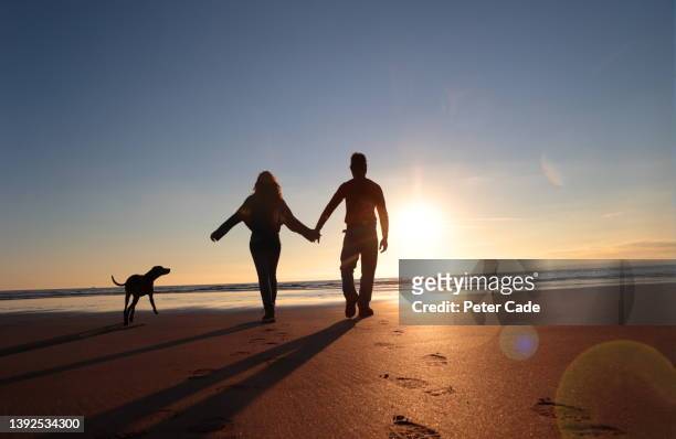 walking dog on beach - beach holiday uk stock pictures, royalty-free photos & images