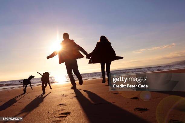 dogs with couple at sunset - sunset silhouette back lit stock pictures, royalty-free photos & images