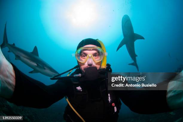 selfie of a diver with sharks - shark underwater stock pictures, royalty-free photos & images